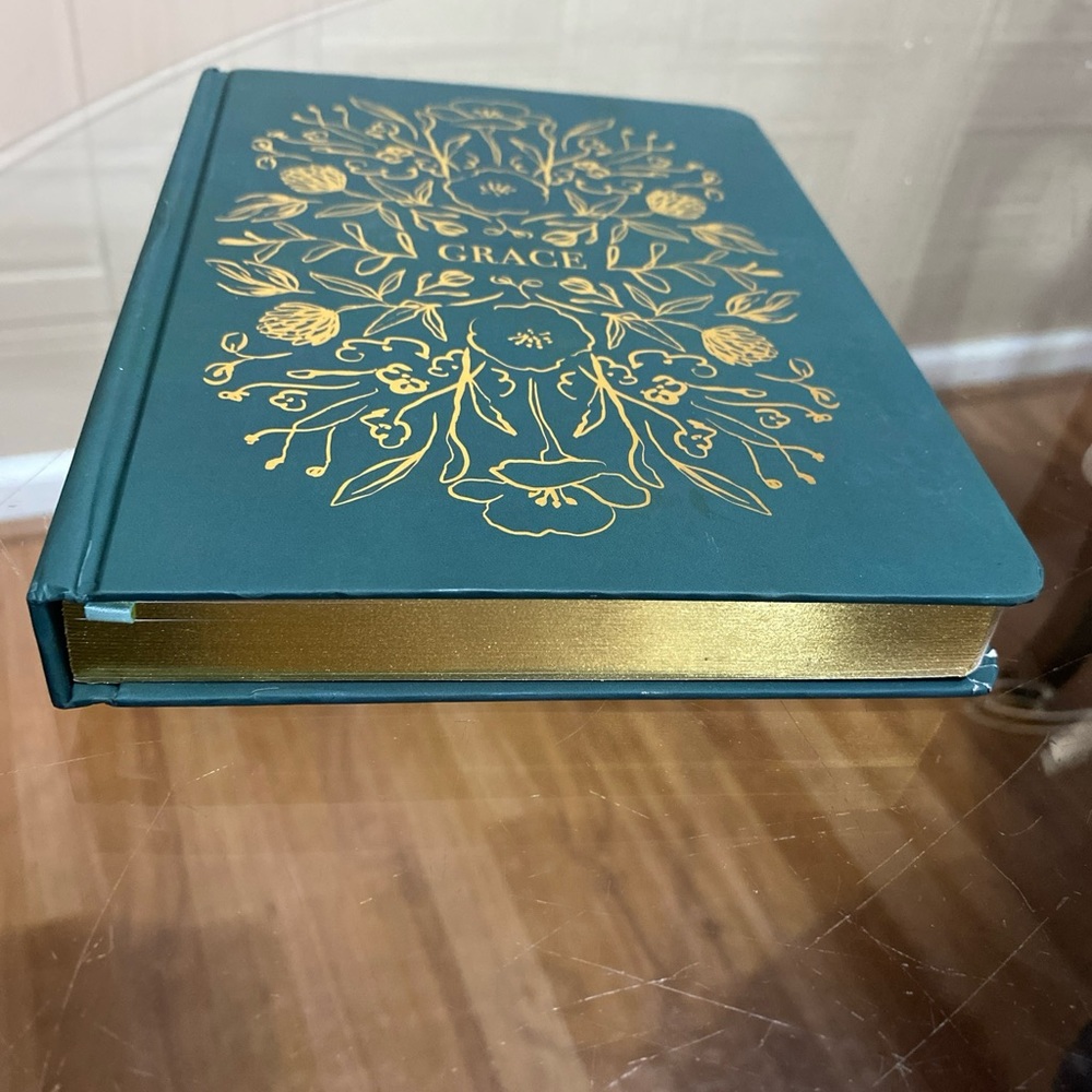 - - Brand New James Burke Collection journal Grace ,